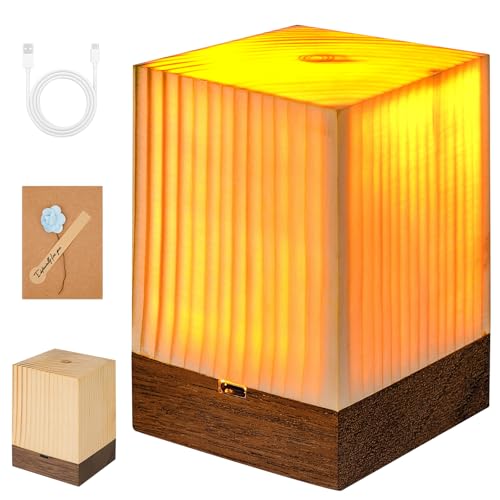 Fanesen Nachtlicht Nachttischlampe Touch Dimmbar, AtmosphäRe Tischlampe Stilllicht für Schlafzimmer Wohnzimmer, USB Aufladbar Stilllicht Touch Lampe, Tragbar Nachtlicht, Geschenk für Freunde Fanesen Nachtlicht Nachttischlampe Touch Dimmbar, AtmosphäRe Tischlampe Stilllicht für Schlafzimmer Wohnzimmer, USB Aufladbar Stilllicht Touch Lampe, Tragbar Nachtlicht, Geschenk für Freunde von Fanesen