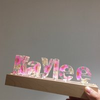 Echte Blume Buchstaben Nachtlampe, Custom Color Getrocknete Resin Nachtlicht, Mit Exquisiten Geschenkboxen Als Weihnachtsgeschenk Für Sie Beste von FangPresent