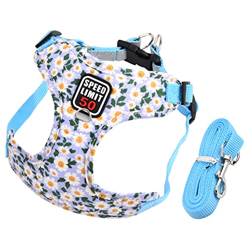 Hundegeschirr mit Leine, Air-Mesh Atmungsaktiv Brustgeschirr, Katzengeschirre Reflektierend, Weich Gepolstert Hunde Geschirr, Verstellbare Welpengeschirr für Kleine Mittel Haustiere (Blau) von Fangehong