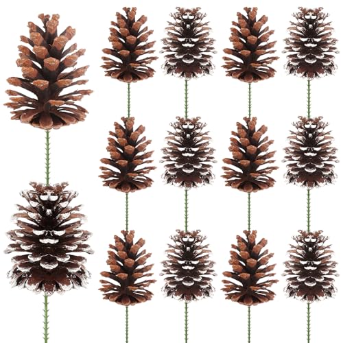 Fangoo 12 Stück 8-12cm Natürliche Weihnachtskieferzapfen Zedernzapfen Weihnachts Dekoration DIY Bastelarbeiten Kann für Heimwerkerarbeiten Weihnachtsdekorationen (Natürlich Weiß) von Fangoo