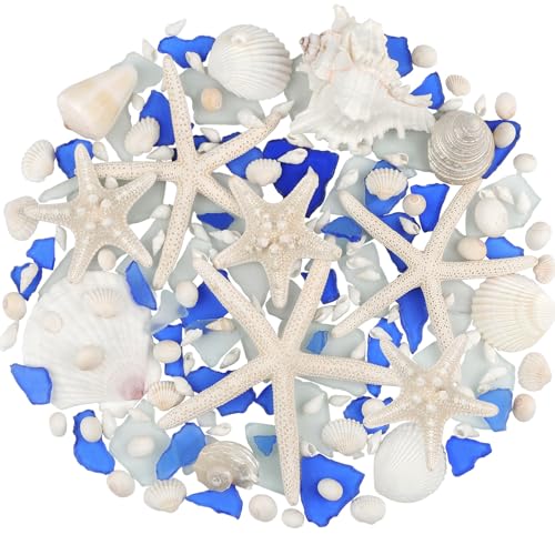 Fangoo Deko Muscheln und Seesterne 7-15cm Natürlicher Seestern Natürliche Meerglas Mixed Sea Shells Beach Starfish für Vase Füllstoffe Strand Thema Party Hochzeit Dekor DIY Kunsthandwerk Fisch Panzer von Fangoo