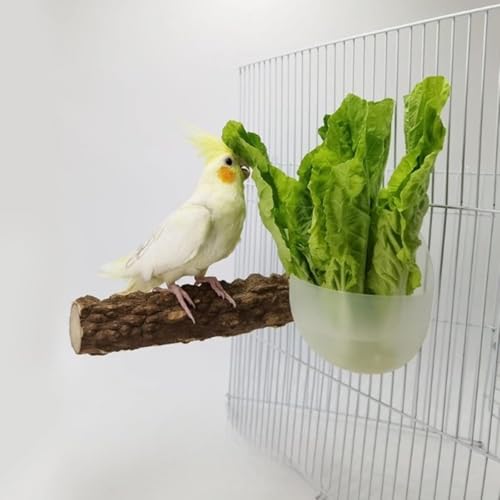 Fangzichen Vogelfutterstation für Papageien mit Holzständer Sitzstange Käfig Obst Gemüse Halter Gemüseregal Tierfutter Hängekörbe Papagei Obst Hängebehälter Käfig Hängekorb Container Fangzichen Vogelfutterstation für Papageien mit Holzständer Sitzstange Käfig Obst Gemüse Halter Gemüseregal Tierfutter Hängekörbe Papagei Obst Hängebehälter Käfig Hängekorb Container von Fangzichen