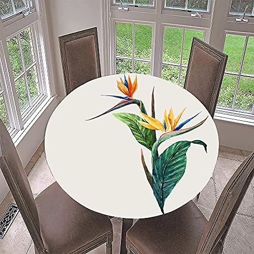 FANSU 3D Runde Tischdecke Abwaschbar, Blumen Wasserdicht Elastische Lotuseffekt Tischdecken Fleckschutz Abwischbar Tischtuch für Outdoor Küchentisch Garten (Einfachheit,Durchmesser 120cm) von FANSU