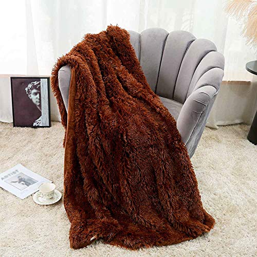 FANSU Kuscheldecke Longhair Flauschige Wohndecke Microfaser Microfaser Korallenvliesdecke Sofadecke Tages Klimaanlage Winter Extra Weich Warm Decke Zotteldecke (Braun,80 * 120cm) von FANSU