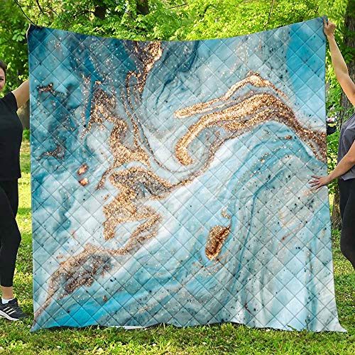 FANSU Tagesdecke Bettüberwurf Steppdecke Mikrofaser Doppelbett Einselbetten Tagesdecken Gesteppt Bettwäsche Sofaüberwurf Wohndecke Vergoldeter Marmordruck Bettdecke (Blau,200 * 230cm) von FANSU