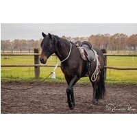 Halsring "Ginger", Reiten Mit von FantasticRope