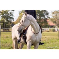 Halsring "Sweet Trixie", Individuell Gestaltbar von FantasticRope