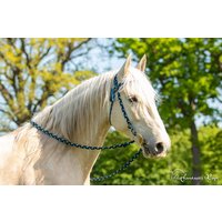 Zaumzeug "Twist", Größe Xl | Großes Warm - Bis Kleines Kaltblut, Einzelstück Zaumzeug "Twist", Größe Xl | Großes Warm - Bis Kleines Kaltblut, Einzelstück von FantasticRope