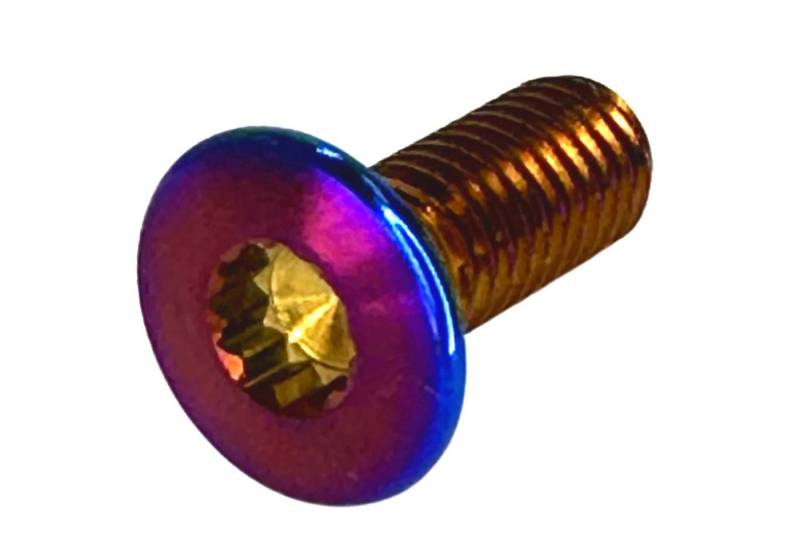 Fantic26 Schrauben-Set 1 x Titan M8 x23 Vielzahn Senkkopfschraube für Türschlossplatte VAG von Fantic26
