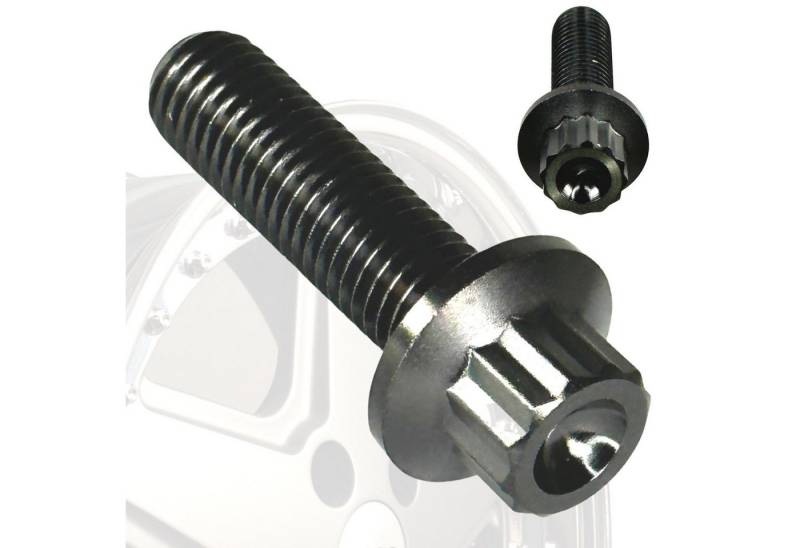 Fantic26 Schrauben-Set 1x Titan M7x25 Schraube für 3 Teilige Felgen Schwarz von Fantic26