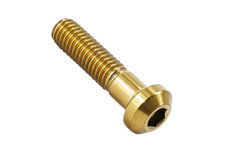 Fantic26 Schrauben-Set F26 M6x26 Titan SL Schraube Rock Shox Sattelstütze Fantic26 Schrauben-Set F26 M6x26 Titan SL Schraube Rock Shox Sattelstütze von Fantic26