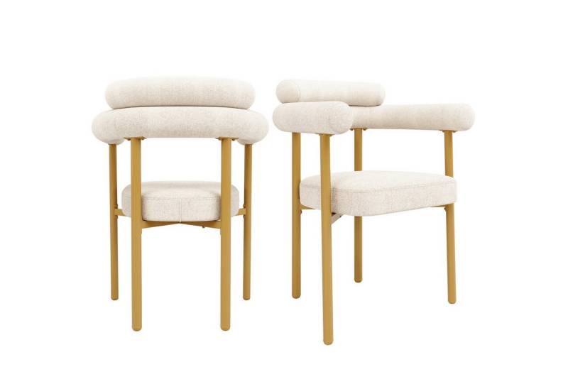 Fanttik Esszimmerstuhl Moderne und schlichte Esszimmerstühle Set mit Rückenlehne (Esszimmerstühle(2 st/ 4 st), bequeme Ringsitze, 2 St), für Esszimmer, Wohnzimmer und Arbeitszimmer von Fanttik