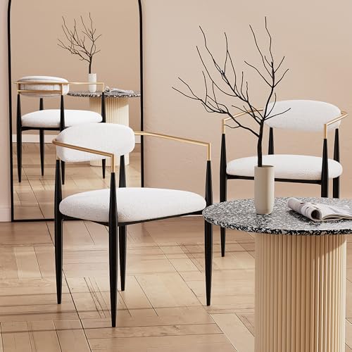 Farati Morden Fort Moderne Esszimmerstühle 2er Set, gepolsterte Boucle Esszimmerstühle mit goldener Armlehne und schwarzen Metallbeinen, Akzentsessel für Küche, Wohnzimmer und Restaurant von Farati