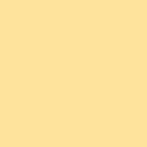 Farben Manufaktur Schwedenfarbe Holzfarbe Holzlack Holzschutz Wetterschutzfarbe deckend 1/2/5L, Größe: 2L, Farbe: Schweden gelb hell von Farben Manufaktur - individuelle Farb(t)räume