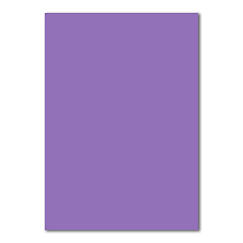 100 DIN A4 Papier-bögen Planobogen - Violett - 240 g/m² - 21 x 29,7 cm - Bastelbogen Ton-Papier Fotokarton Bastel-Papier Ton-Karton - FarbenFroh von FarbenFroh by GUSTAV NEUSER