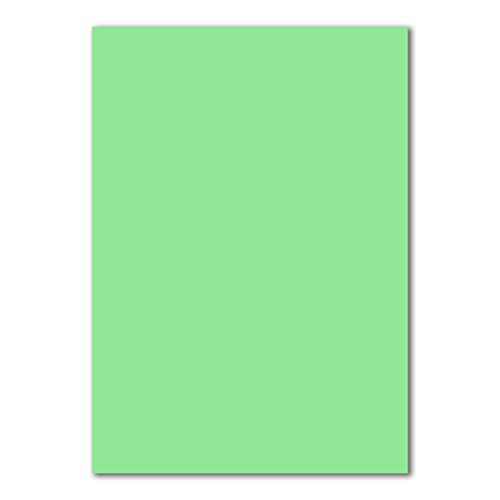 100x DIN A4 Papier - Pastell-Grün - 110 g/m² - 21 x 29,7 cm - Bastelbogen Ton-Papier Fotopapier Bastel-Papier Brief-Papier - FarbenFroh von FarbenFroh by GUSTAV NEUSER