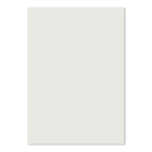 200 DIN A5 Einzelkarten Papierbögen - Hellgrau - 240 g/m² - 14,8 x 21 cm - Bastelbogen Tonpapier Fotokarton Bastelpapier Tonkarton - FarbenFroh 200 DIN A5 Einzelkarten Papierbögen - Hellgrau - 240 g/m² - 14,8 x 21 cm - Bastelbogen Tonpapier Fotokarton Bastelpapier Tonkarton - FarbenFroh von FarbenFroh by GUSTAV NEUSER