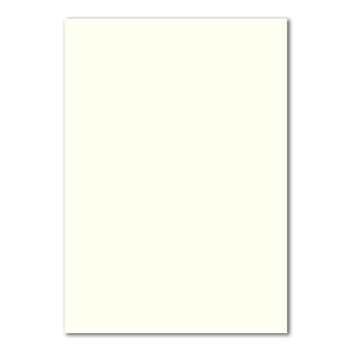 250 DIN A4 Papier-bögen Planobogen - Naturweiß (Weiß) - 240 g/m² - 21 x 29,7 cm - Bastelbogen Ton-Papier Fotokarton Bastel-Papier Ton-Karton - FarbenFroh von FarbenFroh by GUSTAV NEUSER