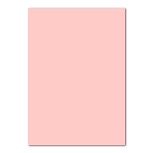 50 DIN A4 Papier-bögen Planobogen - Rosa - 240 g/m² - 21 x 29,7 cm - Bastelbogen Ton-Papier Fotokarton Bastel-Papier Ton-Karton - FarbenFroh von FarbenFroh by GUSTAV NEUSER