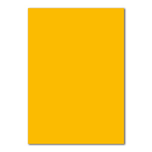 100x DIN A4 Papier - Honiggelb (Gelb) - 110 g/m² - 21 x 29,7 cm - Briefpapier Bastelpapier Tonpapier Briefbogen - FarbenFroh by GUSTAV NEUSER von FarbenFroh by GUSTAV NEUSER