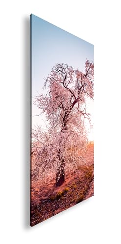 Leinwandbild Blühender Baum in Rosa – ein Frühlingspoem auf weiter Flur. Panorama 100x50cm XXL Wandbild auf Keilrahmen/Kunstdruck/Bild Wohnzimmer Dekoration von Farbenhorizont