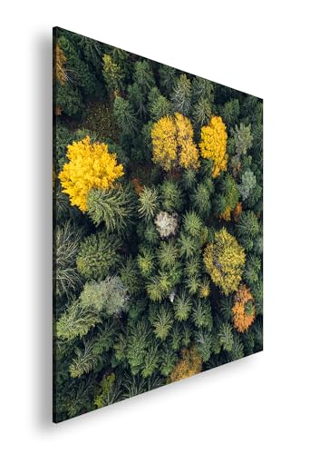 Leinwandbild Farbtupfer im Grün – der Wald malt den Herbst ein. Format: 60x60cm XXL Wandbild auf Keilrahmen/Kunstdruck/Bild Wohnzimmer Dekoration Leinwandbild Farbtupfer im Grün – der Wald malt den Herbst ein. Format: 60x60cm XXL Wandbild auf Keilrahmen/Kunstdruck/Bild Wohnzimmer Dekoration von Farbenhorizont