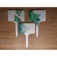 Pflanzstecker Holz Kräuter Pflanzstecker Holz Kräuter von Farbfunken