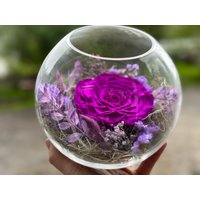 Rosenglässchen „Blütenmeer" Lila Lavendel Stabilisiert Konserviert Infinitiy Rose von Farbvielfalt