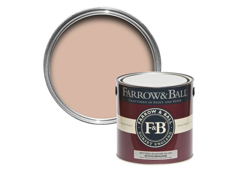 Farrow and Ball Wandfarbe Farrow and Ball - Setting Plaster 231 von Farrow and Ball
