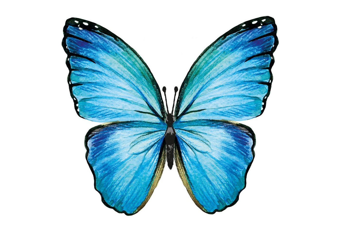 Fasana Papierserviette 20 Servietten Butterfly 33x33cm, (20 St) von Fasana