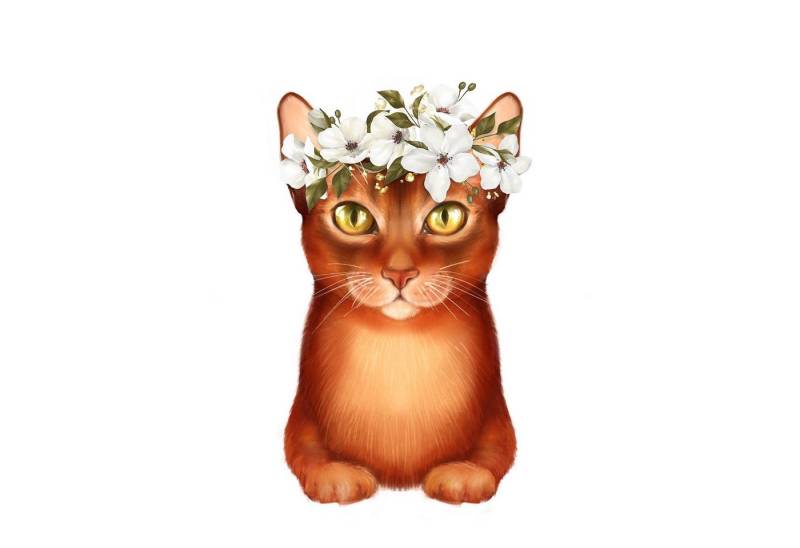 Fasana Papierserviette 20 Servietten Lady Cat 33x33cm, (20 St) von Fasana