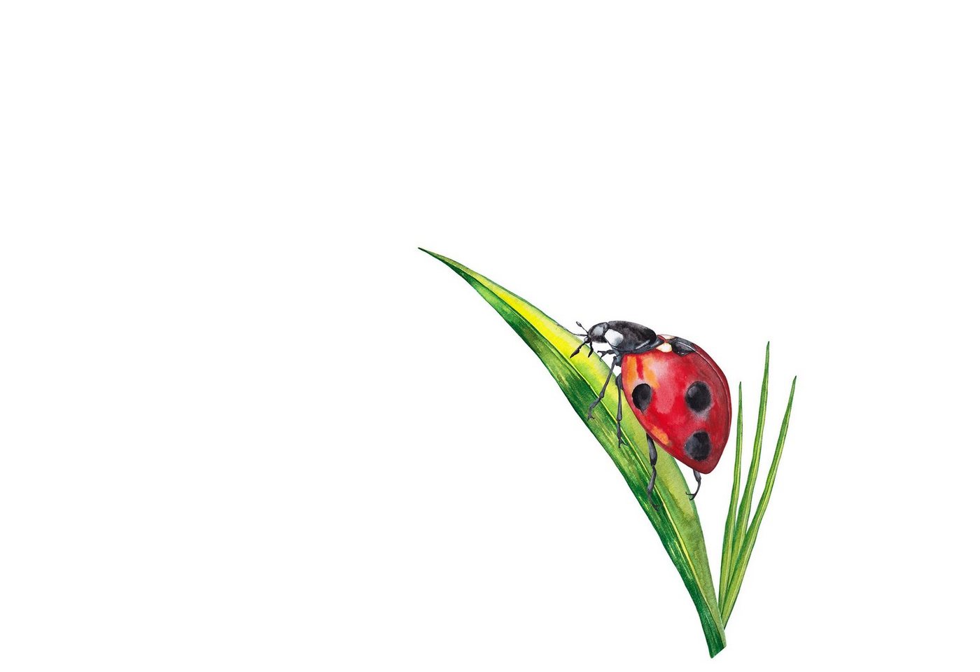 Fasana Papierserviette 20 Servietten Ladybug on Grass 33x33cm, (20 St) von Fasana