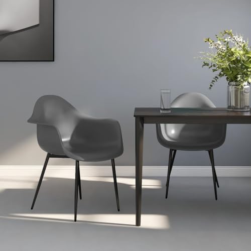 Fasba Esszimmerstühle Küchenstuhl Stuhl Set Stühle Wohnzimmerstuhl Küchenstühle Esszimmerstuhl Essstuhl 2 STK. Grau PP Fasba Esszimmerstühle Küchenstuhl Stuhl Set Stühle Wohnzimmerstuhl Küchenstühle Esszimmerstuhl Essstuhl 2 STK. Grau PP von Fasba