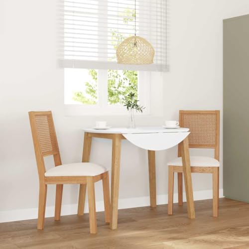 Fasba Esszimmerstühle Küchenstuhl Stuhl Set Stühle Wohnzimmerstuhl Küchenstühle Esszimmerstuhl Essstuhl mit Kissen 2 STK. Massivholz Gummibaum von Fasba