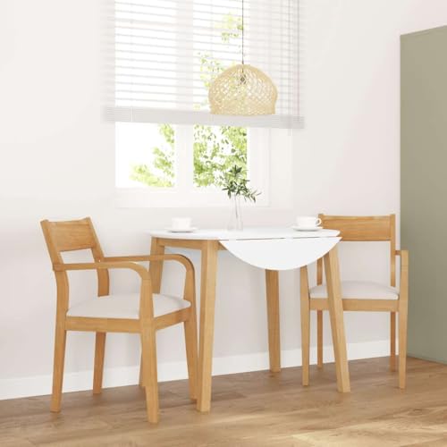 Fasba Esszimmerstühle Küchenstuhl Stuhl Set Stühle Wohnzimmerstuhl Küchenstühle Esszimmerstuhl Essstuhl mit Kissen 2 STK. Natur Massivholz Gummibaum von Fasba