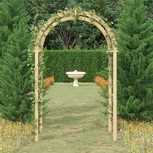 Fasba Gartenbogen Pergola Rosenbogen Rankgitter Garten Spalier Torbogen Rankhilfe 141x97x243 cm Massivholz Kiefer Imprägniert von Fasba