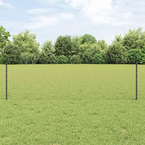 Gartenzaun Set Packung mit 2 Grau Metall Groß Erweiterbar, Zaunpfosten Pfosten Weidenetze für Weidezaun Bauernhof Vieh Haustierschutz3336847 von Fasba