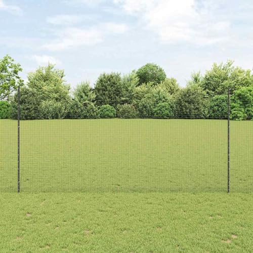 Geschweißter Drahtzaun mit 22 U-Posts Grau 1,6x25 m Stahl, Zaunpfosten Pfosten Weidenetze für Weidezaun Bauernhof Vieh Haustierschutz3336615 von Fasba