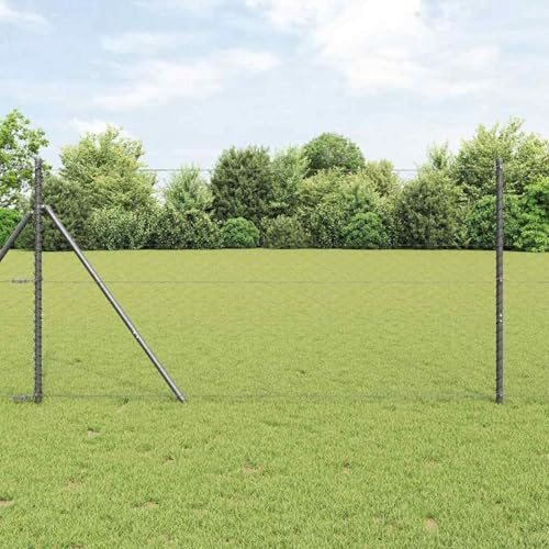 Zaunset Set von 2 Grau Metall 25 x 1,2 m Langlebig, Zaunpfosten Pfosten Weidenetze für Weidezaun Bauernhof Vieh Haustierschutz3352820 Zaunset Set von 2 Grau Metall 25 x 1,2 m Langlebig, Zaunpfosten Pfosten Weidenetze für Weidezaun Bauernhof Vieh Haustierschutz3352820 von Fasba