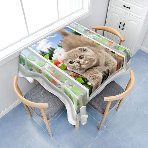 Fasbuy Tischdecke Abwaschbar, Quadratisch TischdeckenTischtuch aus Polyester Wasserabweisend mit Lotuseffekt, Draußen Tischwäsche Tischtuchklammern, 3D Fenster (Katze,200x200cm) von Fasbuy