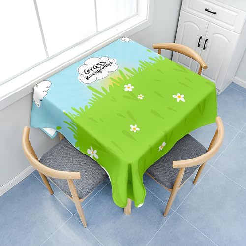 Fasbuy Tischdecke Abwaschbar, Quadratisch TischdeckenTischtuch aus Polyester Wasserabweisend mit Lotuseffekt, Draußen Tischwäsche Tischtuchklammern (Rasen 3,120x120cm) von Fasbuy