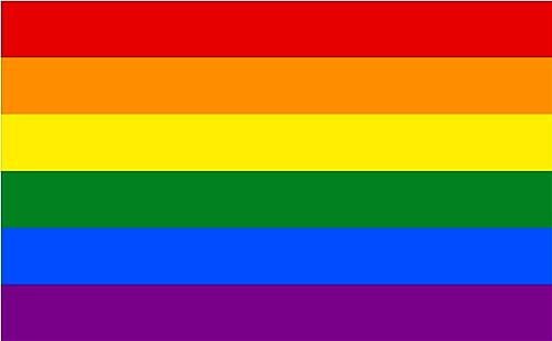 Premium Fahnen Flagge - 90 x 150 cm / 150 cm 90 cm - aus Polyester mit goldenen Ösen - Langlebig und Wetterfest (Regenbogen LGBT) von Fasent-Party