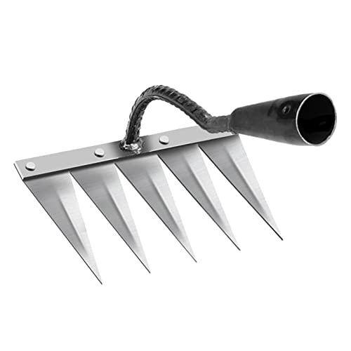 FashionCha Gartenhacke Bodenlockerer Kultivator Jäthacke Ackergerät mit Scharfer Kante für Effiziente Gartenarbeit für Die Landwirtschaft Und Den Gemüseanbau, 5 Zahnstahl FashionCha Gartenhacke Bodenlockerer Kultivator Jäthacke Ackergerät mit Scharfer Kante für Effiziente Gartenarbeit für Die Landwirtschaft Und Den Gemüseanbau, 5 Zahnstahl von FashionCha