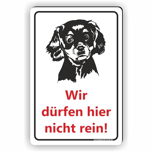 Hunde dürfen nicht rein/Keine Hunde/T-016 (10x15cm Schild) von Fassbender-Druck SCHILDER