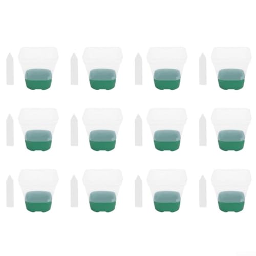 12 transparente, quadratische Blumentöpfe mit atmungsaktivem Silikonboden für wiederverwendbare Pläne und verbesserte Pflanzenfeuchtigkeitskontrolle 12 transparente, quadratische Blumentöpfe mit atmungsaktivem Silikonboden für wiederverwendbare Pläne und verbesserte Pflanzenfeuchtigkeitskontrolle von Fauhapyway