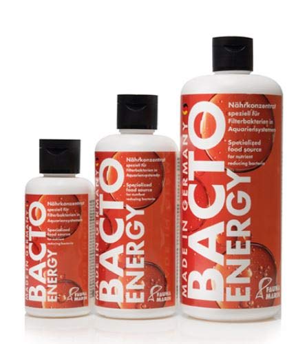 Fauna Marin Bacto Energy, 100ml, Nährstoffkonzentrat speziell für Filterbakterien im Aquarium von Fauna Marin