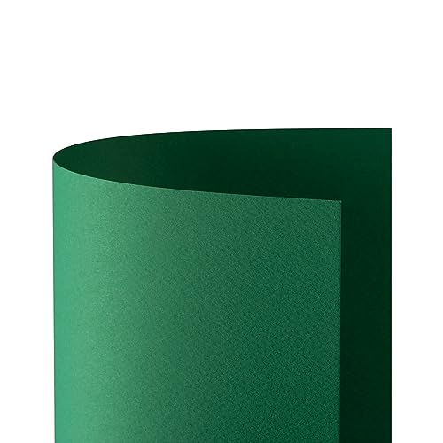 Favini a33d012 Prism 220 50 x 70 cm, grün, 20 Stück von Favini