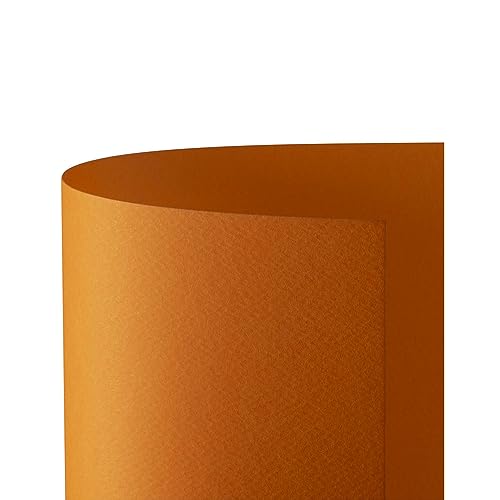 Favini a33e012 Prism 220 50 x 70 cm, 20 Stück, orange von Favini