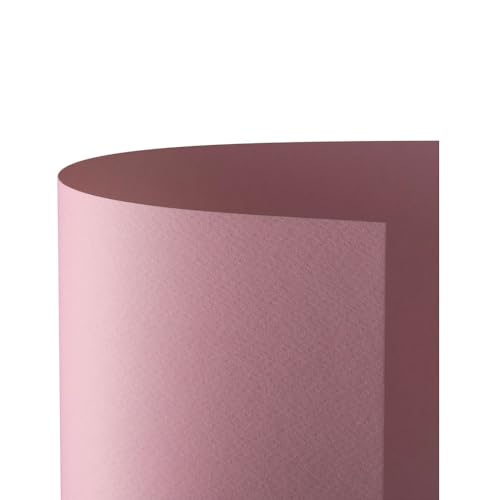 Favini a33s0 a1 Prism Karte 220, 70 x 100 cm, 10 Stück, pink von Favini