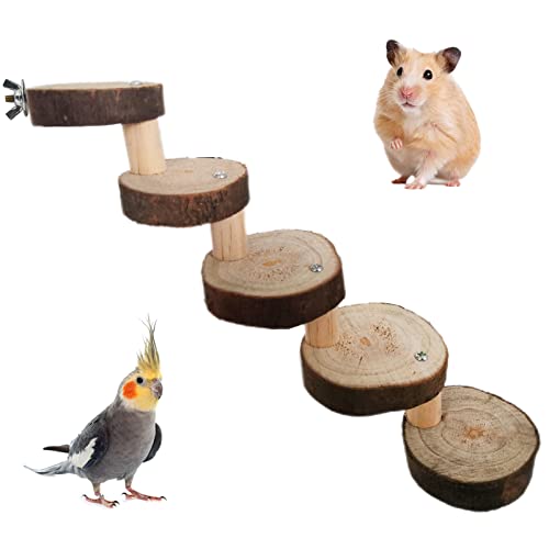 Hamster Spielzeug Holz, Hamstertreppe Brücke, 5-Lagiges Hamstertreppe, Haustierleiter, für Hamster, Mäuse, Ratten und Papageien von Fayemint